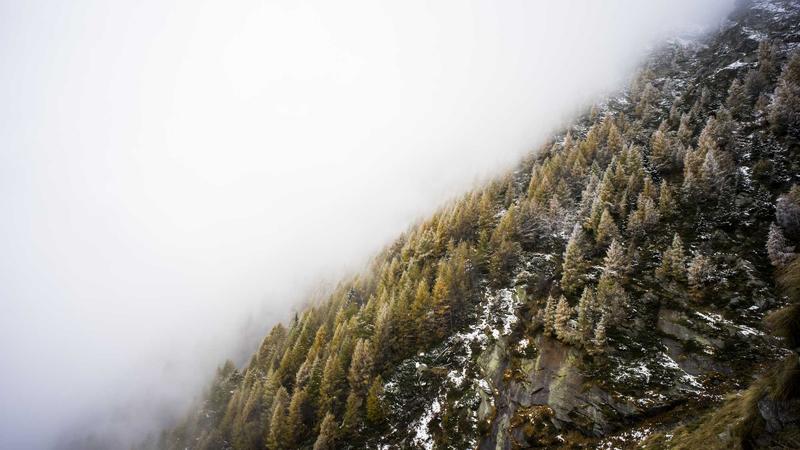 美在剧里网住你心内容生态分析